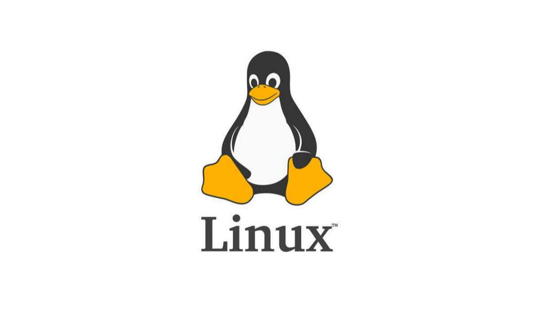 Linux基础命令